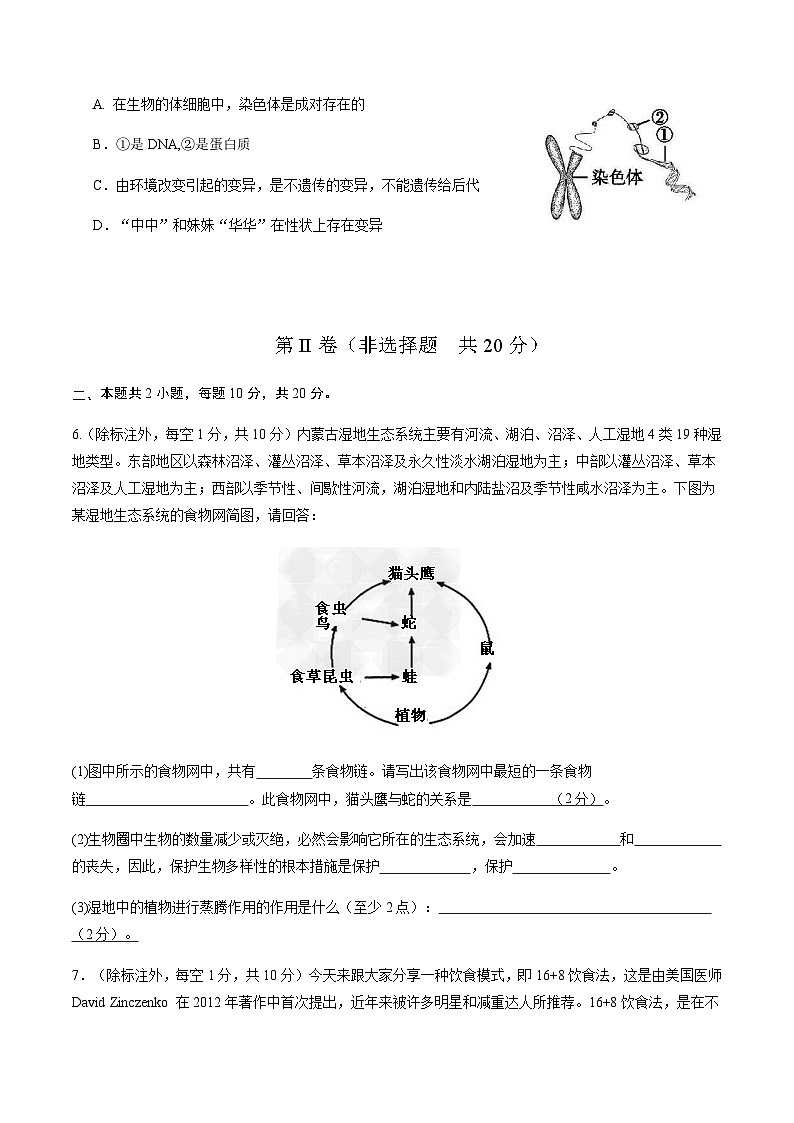 2024年中考生物（内蒙古）第二次模拟考试（含答案）第3页