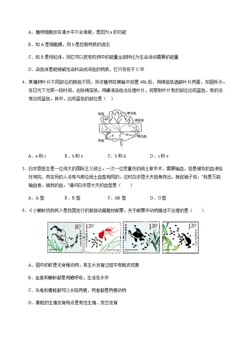 2024年中考生物（徐州）第二次模拟考试（含答案）第2页