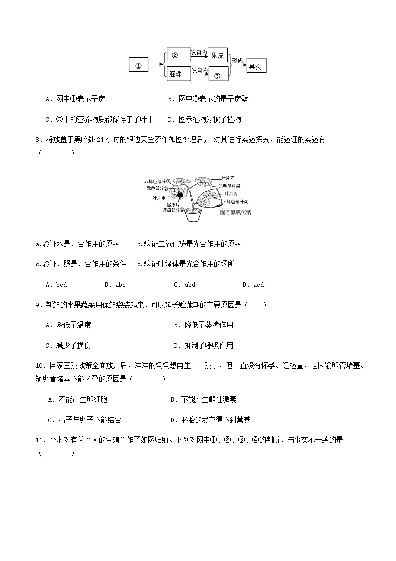 2024年中考生物（云南）第二次模拟考试（含答案）第3页