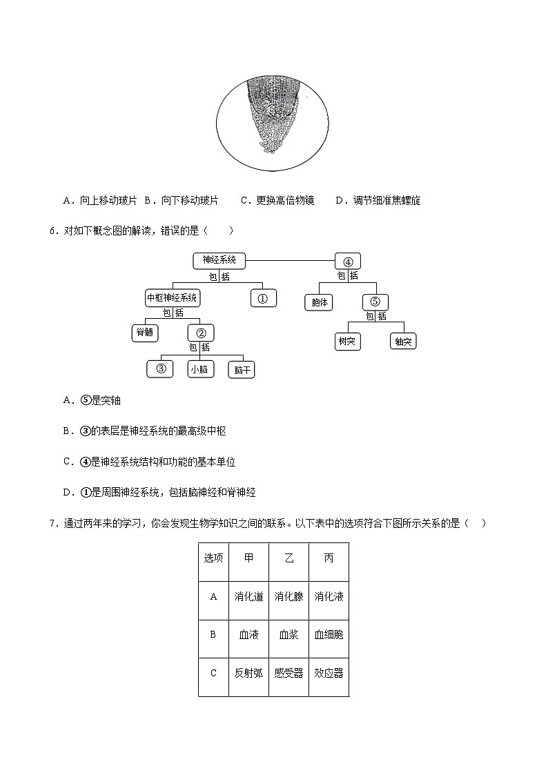 2024年中考生物（重庆）第二次模拟考试（含答案）第3页