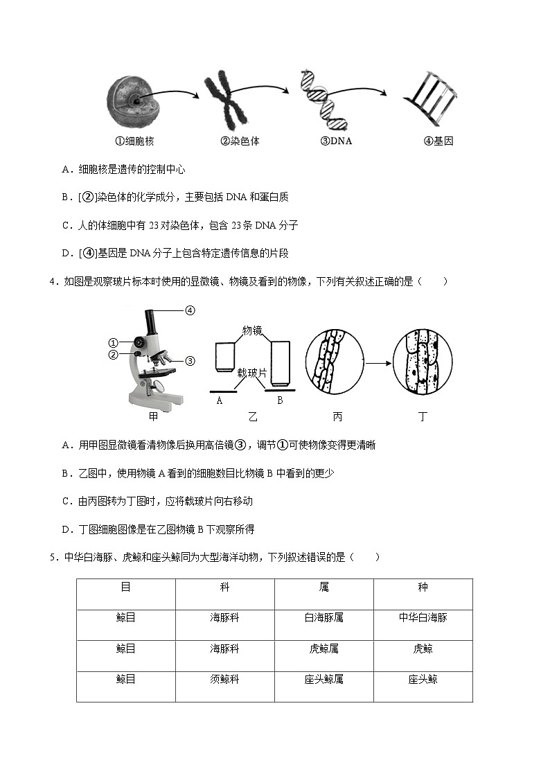 2024年中考生物（贵阳）第一次模拟考试（含答案）第2页