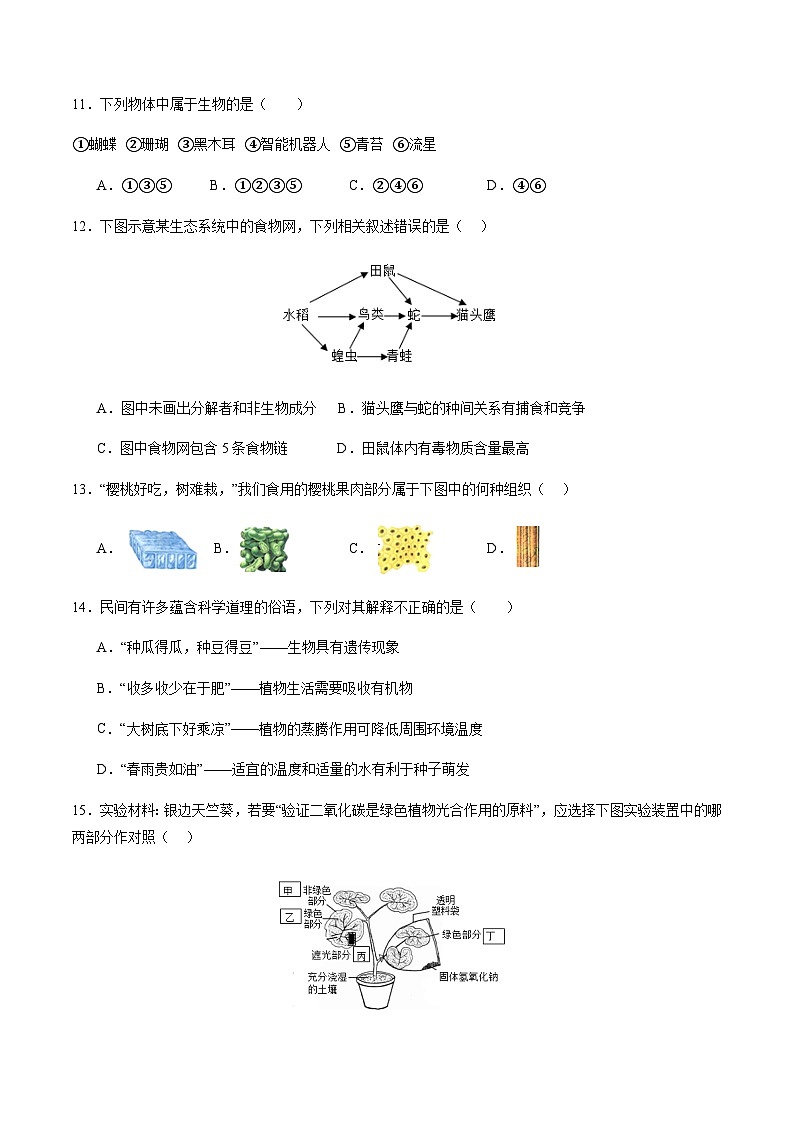 2024年中考生物（南京）第一次模拟考试（含答案）第2页