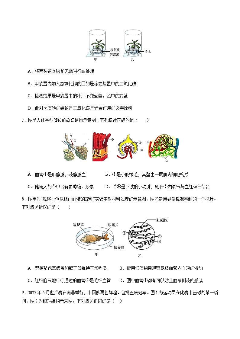 2024年中考生物（盐城）第一次模拟考试（含答案）第3页