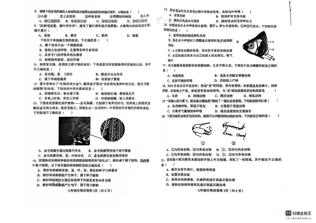 武安市2024—2025学年第一学期七年级生物期末试卷第2页