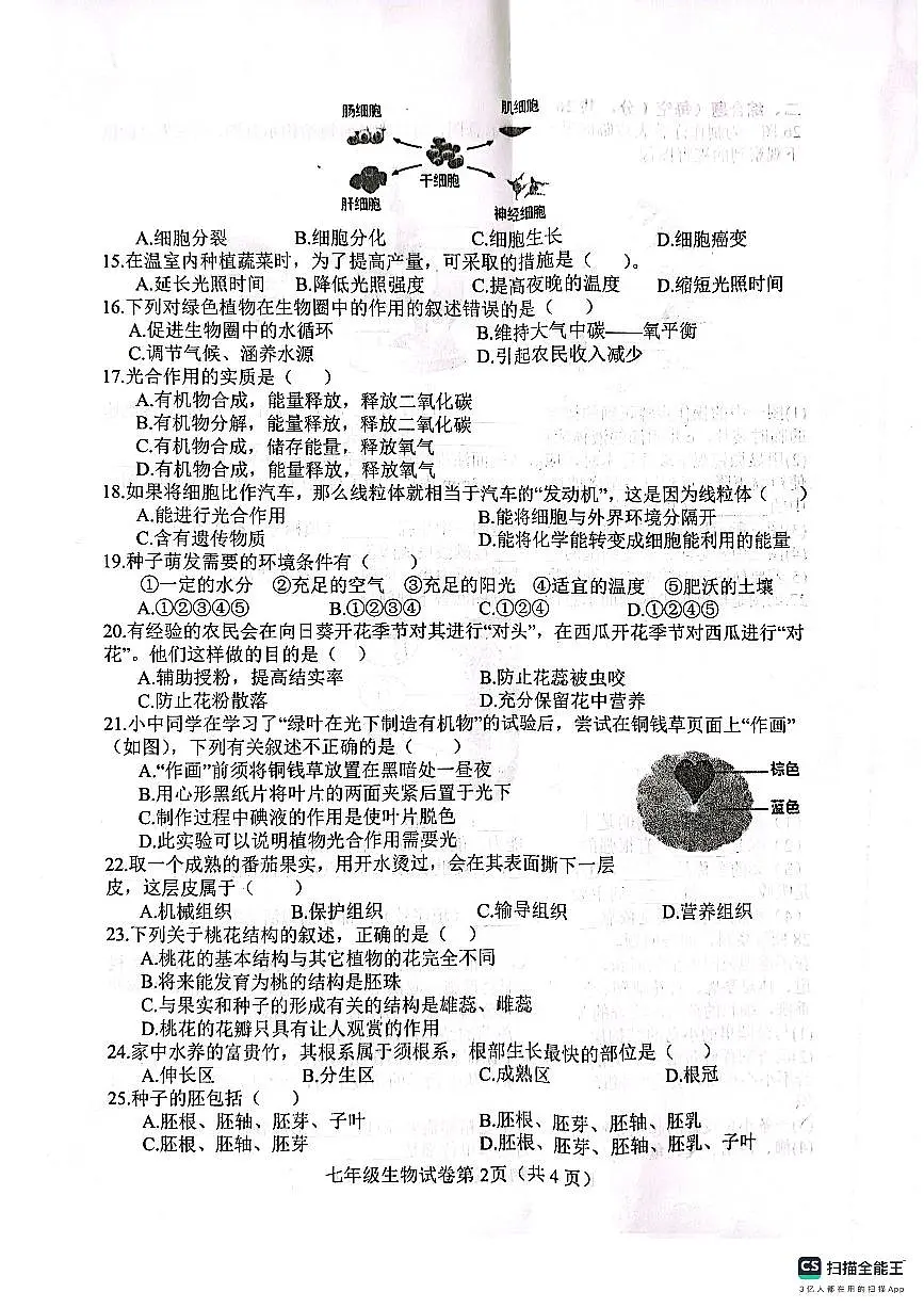 肥乡区2024—2025学年第一学期七年级生物期末试卷第2页