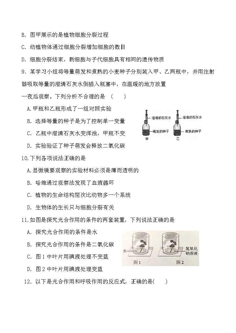 【7生（BS）期末】淮北市濉溪县2024-2025学年七年级上学期1月期末生物试题第3页