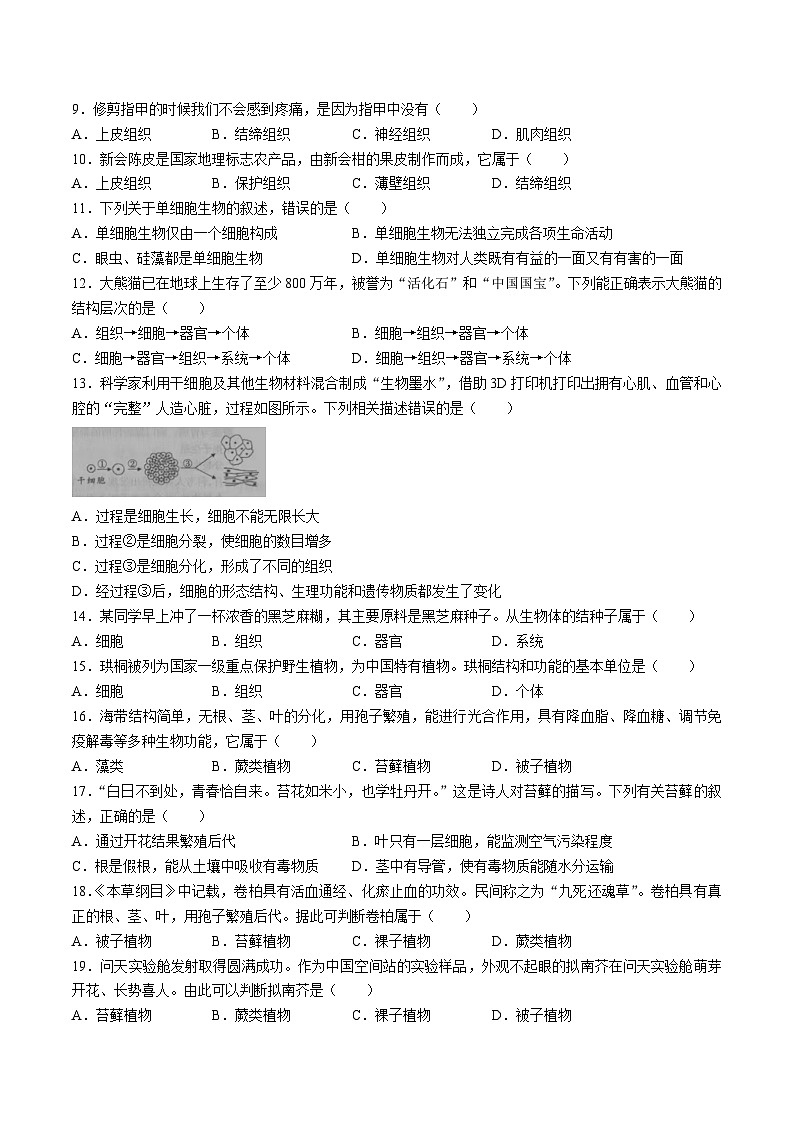 【7生（SJ）期末】合肥市新站区2024-2025学年七年级上学期期末生物试题第2页