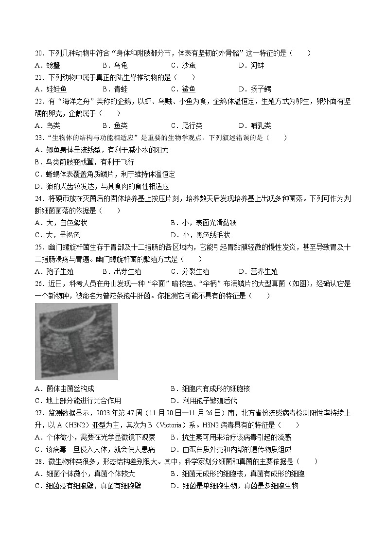 【7生（SJ）期末】合肥市新站区2024-2025学年七年级上学期期末生物试题第3页