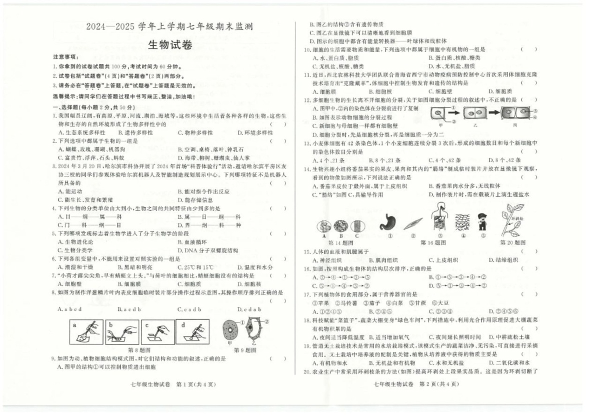 【7生（BS）期末】阜阳市太和县2024-2025学年七年级上学期期末考试生物试卷第1页