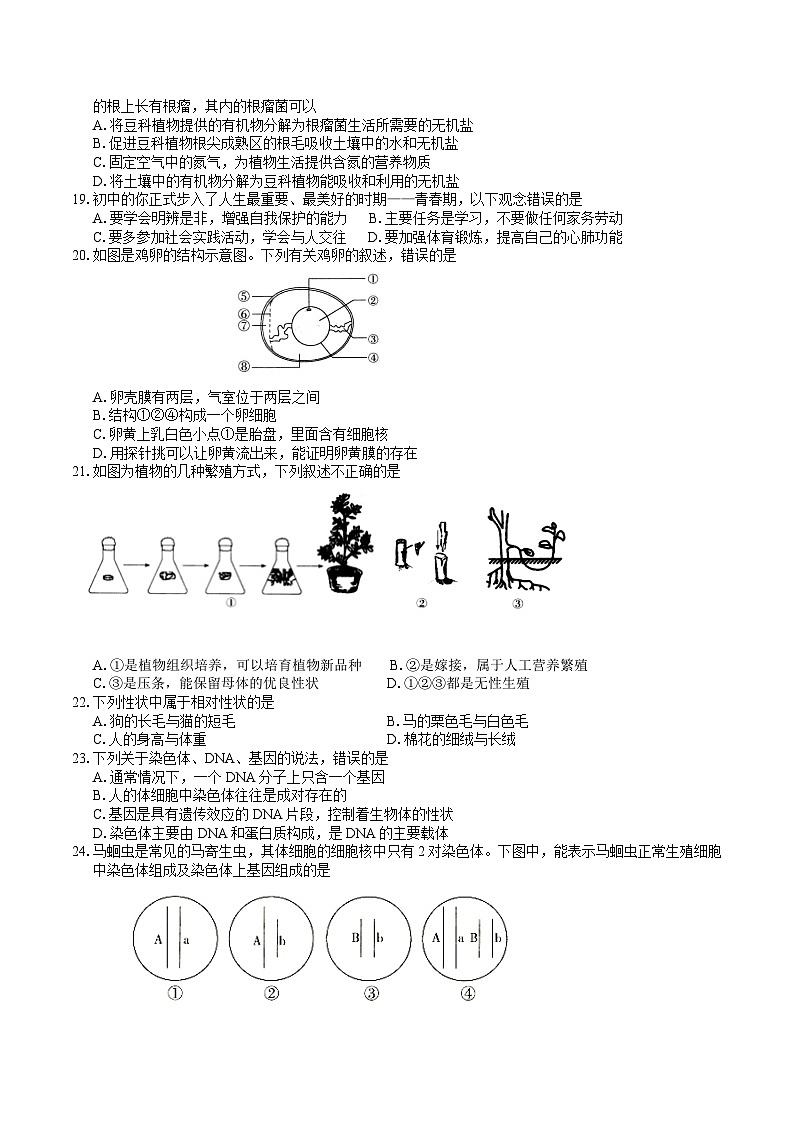 【8生（BS）期末】黄山市歙县2024-2025学年八年级上学期期末生物试题第3页