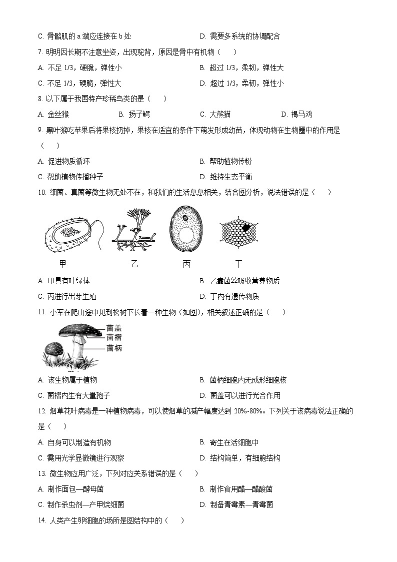 福建省龙岩市八年级上学期期末生物试题（原卷版）-A4第2页