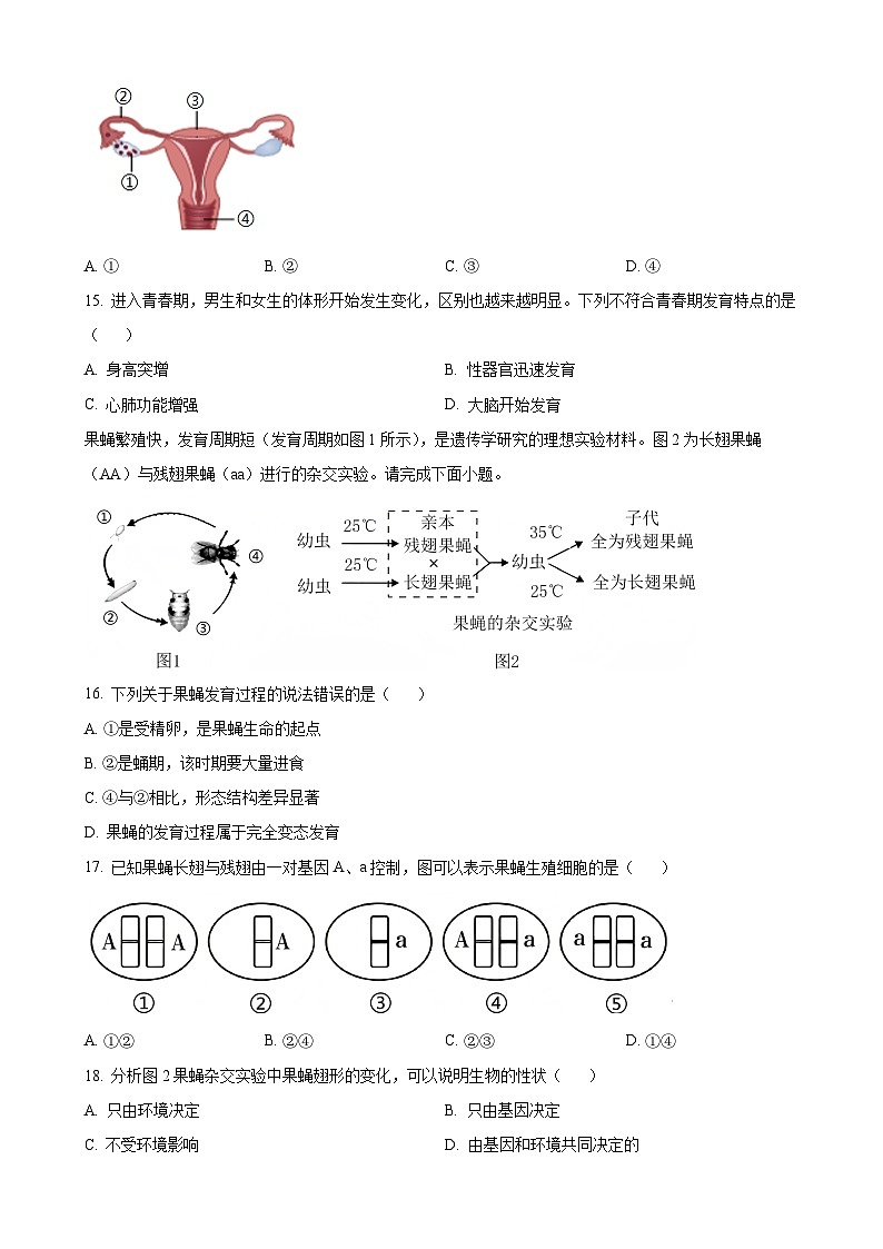 福建省龙岩市八年级上学期期末生物试题（原卷版）-A4第3页