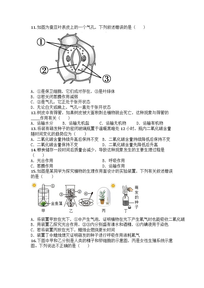 河南省许昌市2024-2025学年七年级下学期期中生物试题第3页