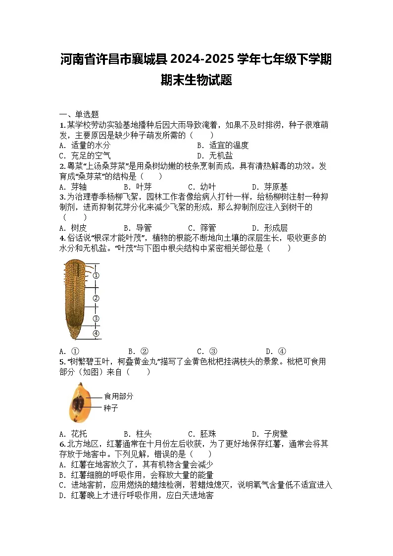 河南省许昌市襄城县2024-2025学年七年级下学期期末生物试题第1页