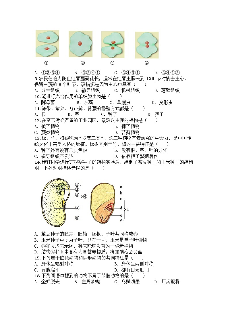 河南省许昌市襄城县玉成学校2025-2026学年七年级上学期12月月考生物试题第2页