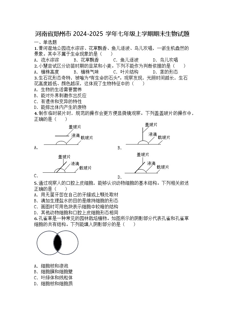 河南省郑州市2024-2025学年七年级上学期期末生物试题第1页