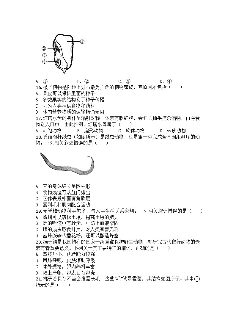 河南省郑州市2024-2025学年七年级上学期期末生物试题第3页