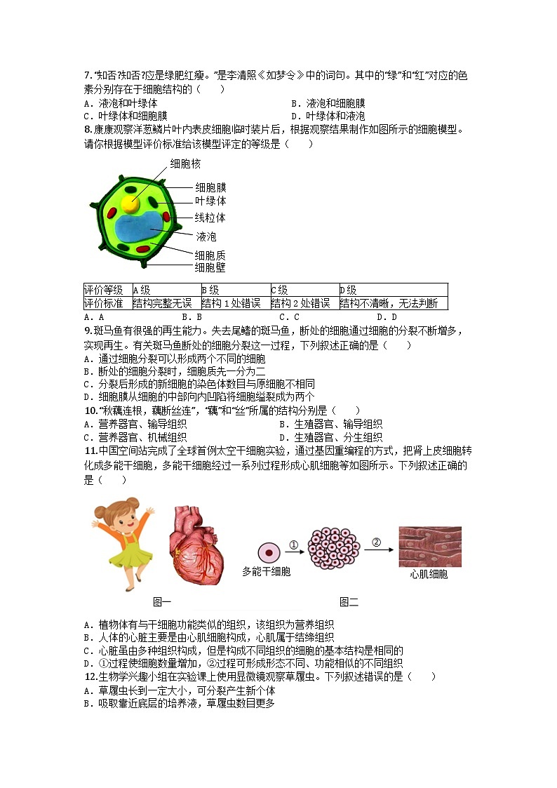河南省郑州市高新区2024-2025学年七年级上学期期末生物试题第2页