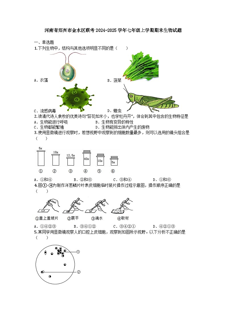 河南省郑州市金水区联考2024-2025学年七年级上学期期末生物试题第1页