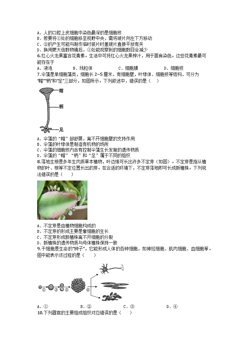 河南省郑州市金水区联考2024-2025学年七年级上学期期末生物试题第2页