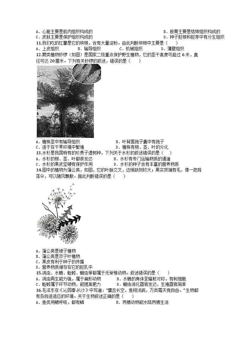 河南省郑州市金水区联考2024-2025学年七年级上学期期末生物试题第3页