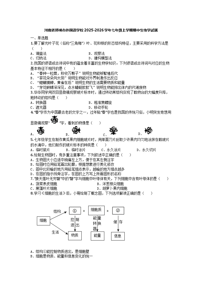 河南省郑州市外国语学校2025-2026学年七年级上学期期中生物学试题第1页