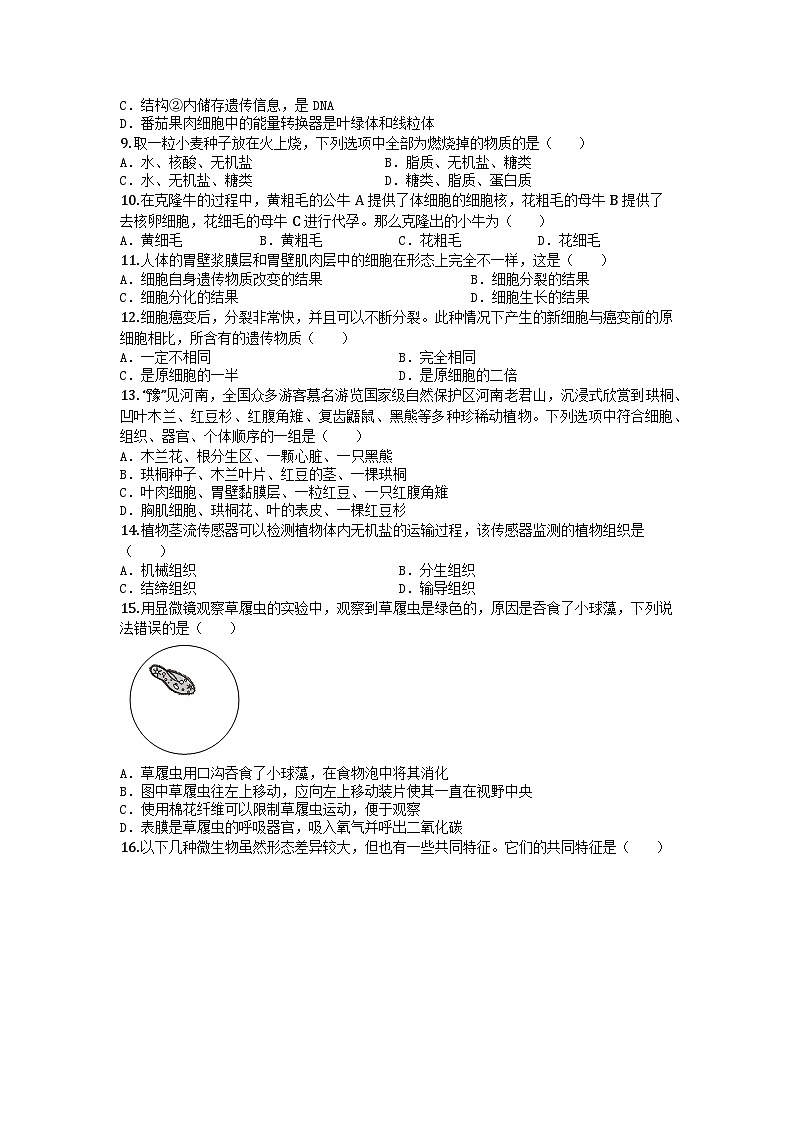 河南省郑州市外国语学校2025-2026学年七年级上学期期中生物学试题第2页