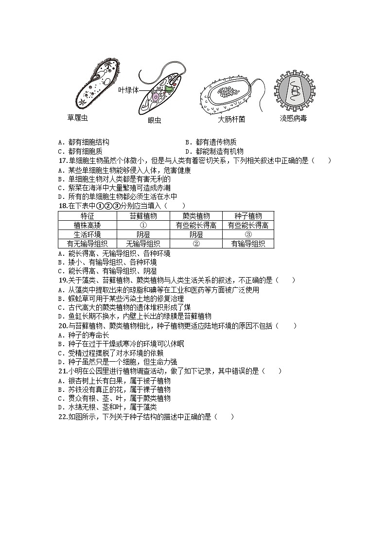 河南省郑州市外国语学校2025-2026学年七年级上学期期中生物学试题第3页