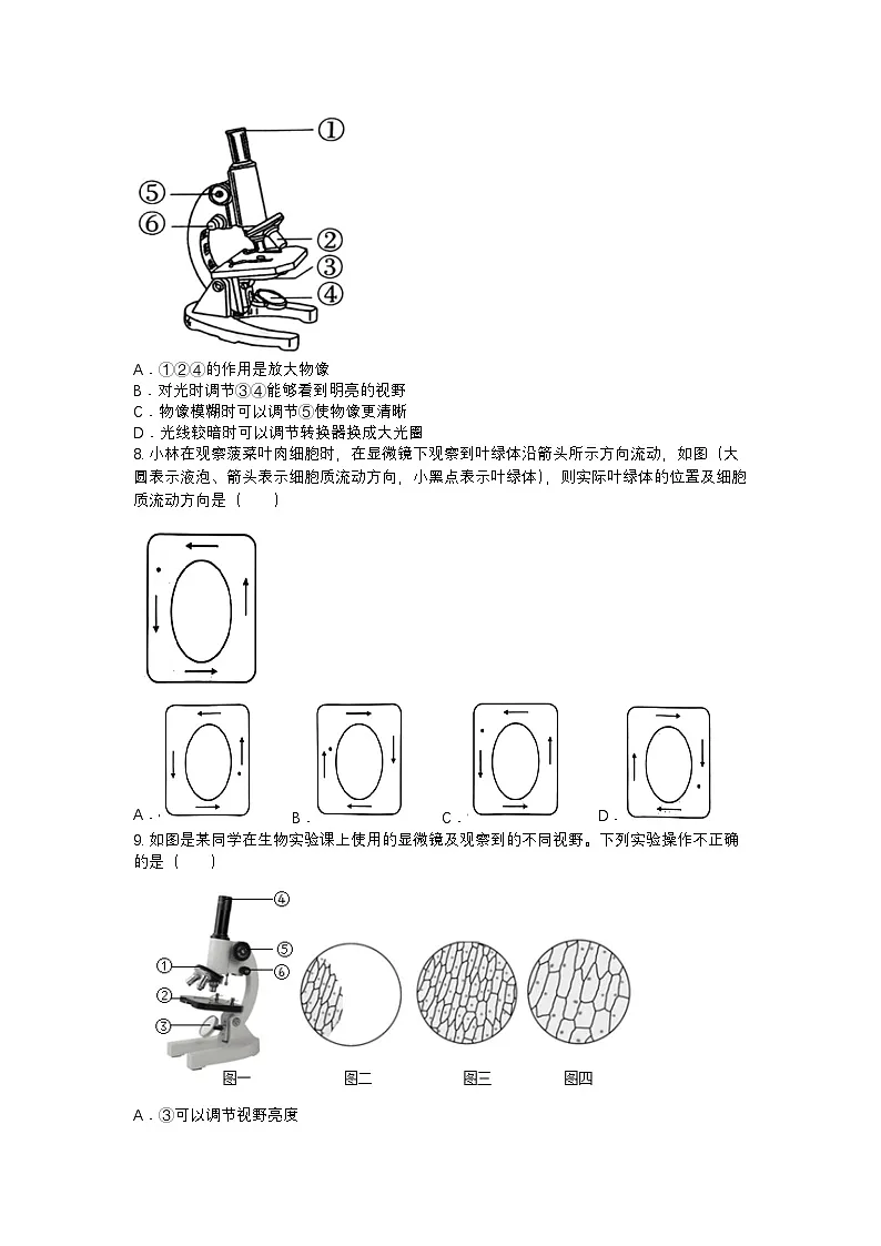 河南省郑州市郑东新区玉溪初级中学2025-2026学年七年级上学期期中生物试题第2页