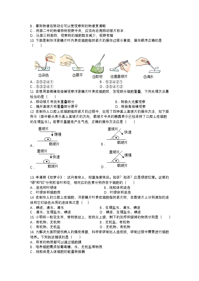 河南省郑州市郑东新区玉溪初级中学2025-2026学年七年级上学期期中生物试题第3页