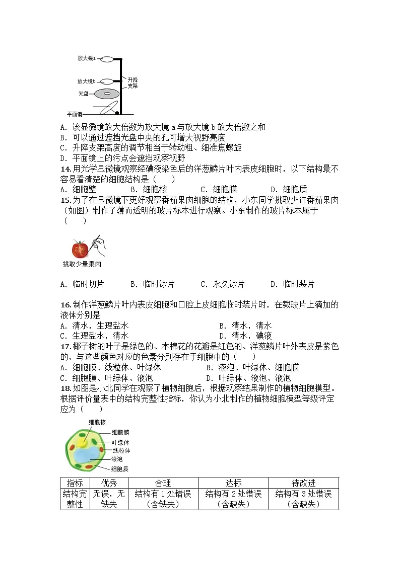 河南省郑州市郑州中学（八一校区）2025-2026学年上学期七年级第一次月考生物试题第3页