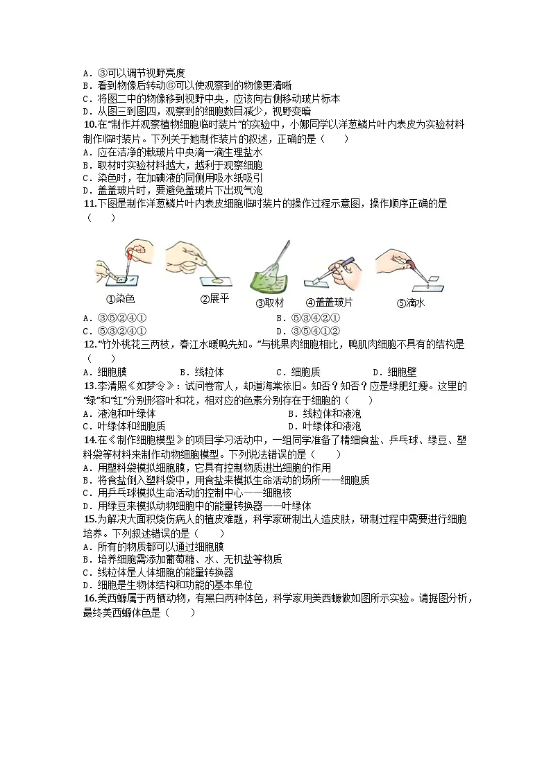 河南省郑州市中原区19初集团2025-2026学年七年级上学期期中生物试题第2页