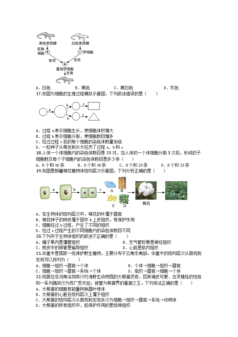 河南省郑州市中原区19初集团2025-2026学年七年级上学期期中生物试题第3页
