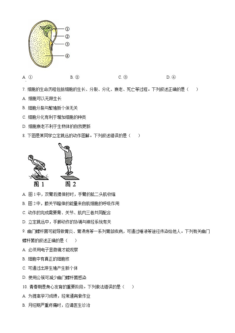 2025年福建省泉州市八年级中考二模生物试题-A4第2页