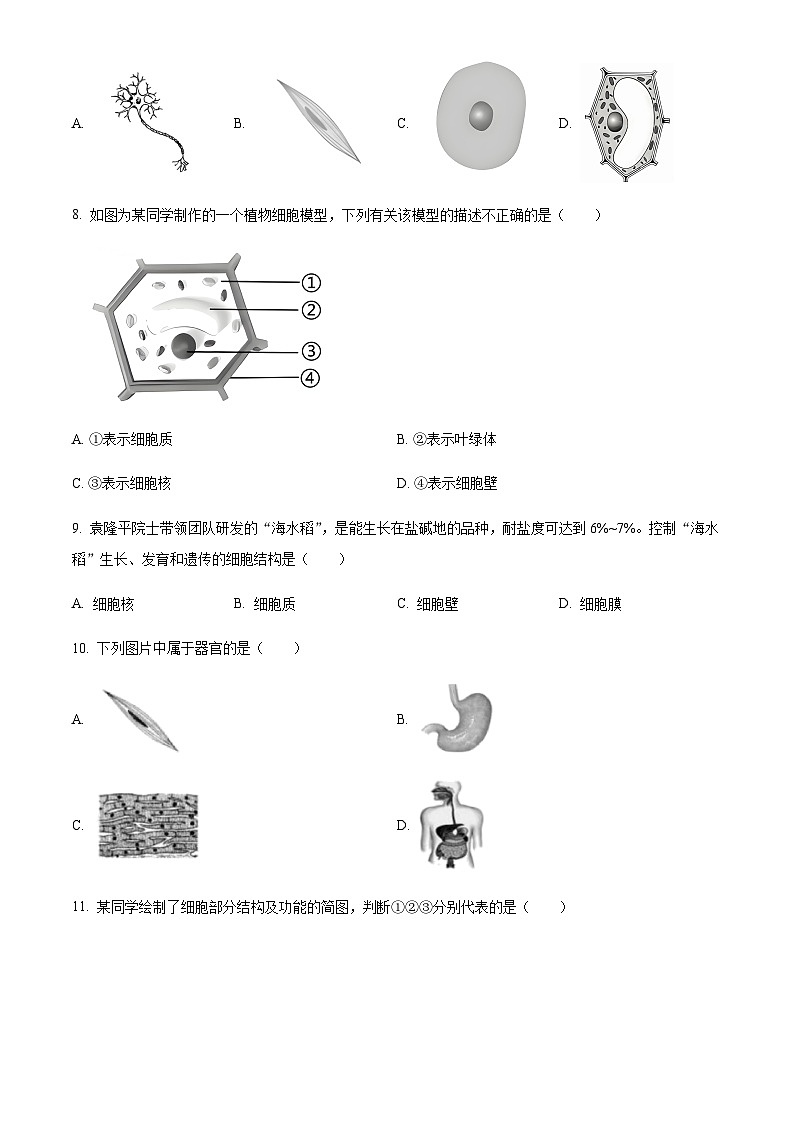 广东省广州市2024-2025学年七年级上学期期末生物试题（含答案）第3页