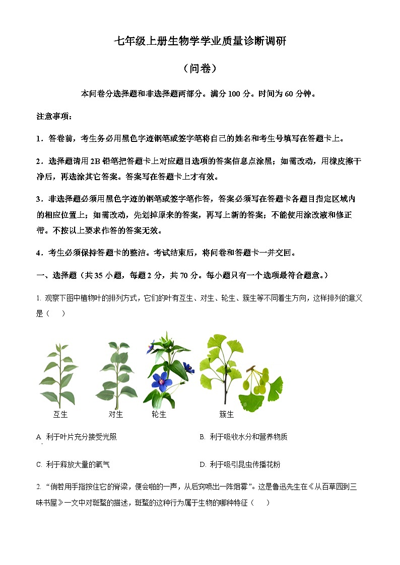 广东省广州市白云区2024-2025学年七年级上学期期末生物试题（含答案）第1页