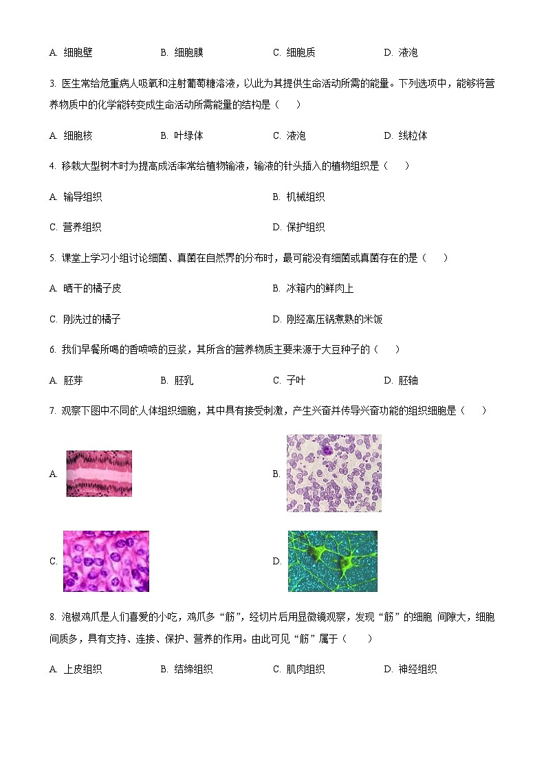广东省广州市天河区2024-2025学年七年级上学期期末生物试题（含答案）第2页