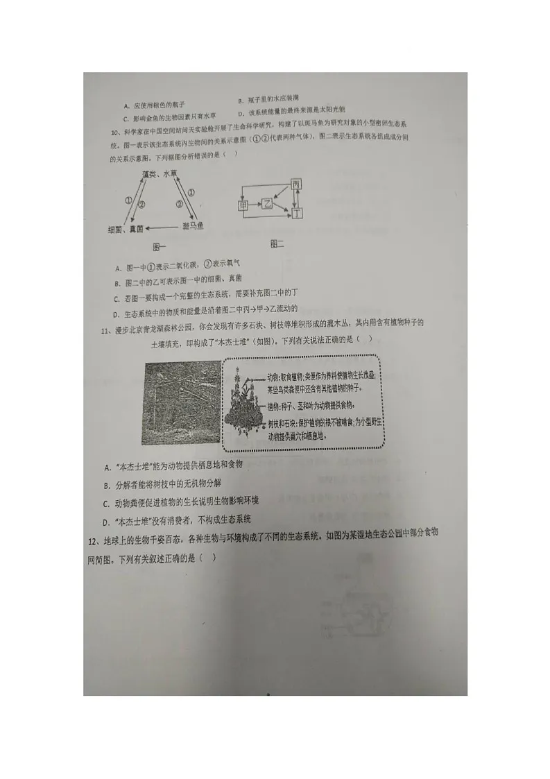 山东省青岛市胶州市洋河中学2025-2026学年八年级上学期12月月考生物试题 -第3页