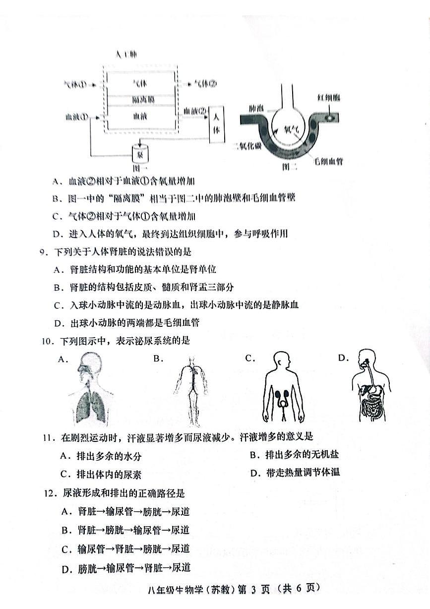 山西省运城市稷山县东方致远双语学校2025-2026学年八年级上学期12月月考生物试题第3页