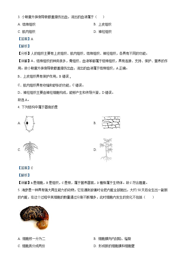 福建省福州市闽侯县七年级上学期期中生物学试题（解析版）-A4第2页