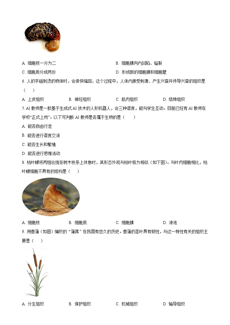 福建省福州市闽侯县七年级上学期期中生物学试题（原卷版）-A4第2页