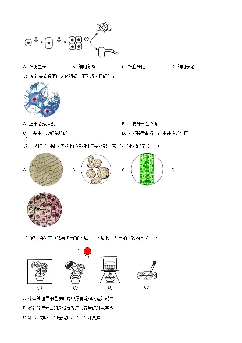 福建省南平市七年级上学期期末生物试题（原卷版）-A4第3页