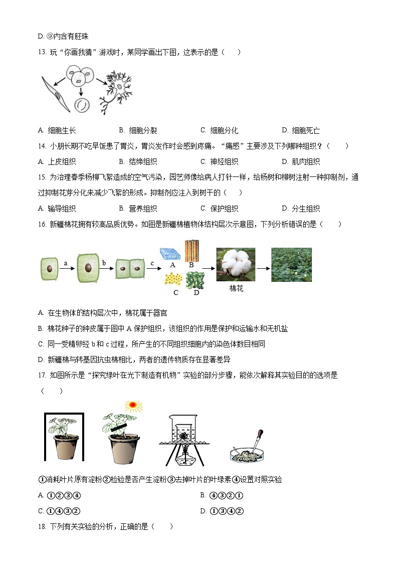福建省龙岩市长汀县七年级上学期期末生物试题（原卷版）-A4第3页