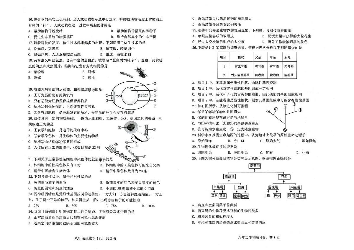 广东省肇庆市第一中学2024-2025学年九年级上学期期末考试生物试题第2页
