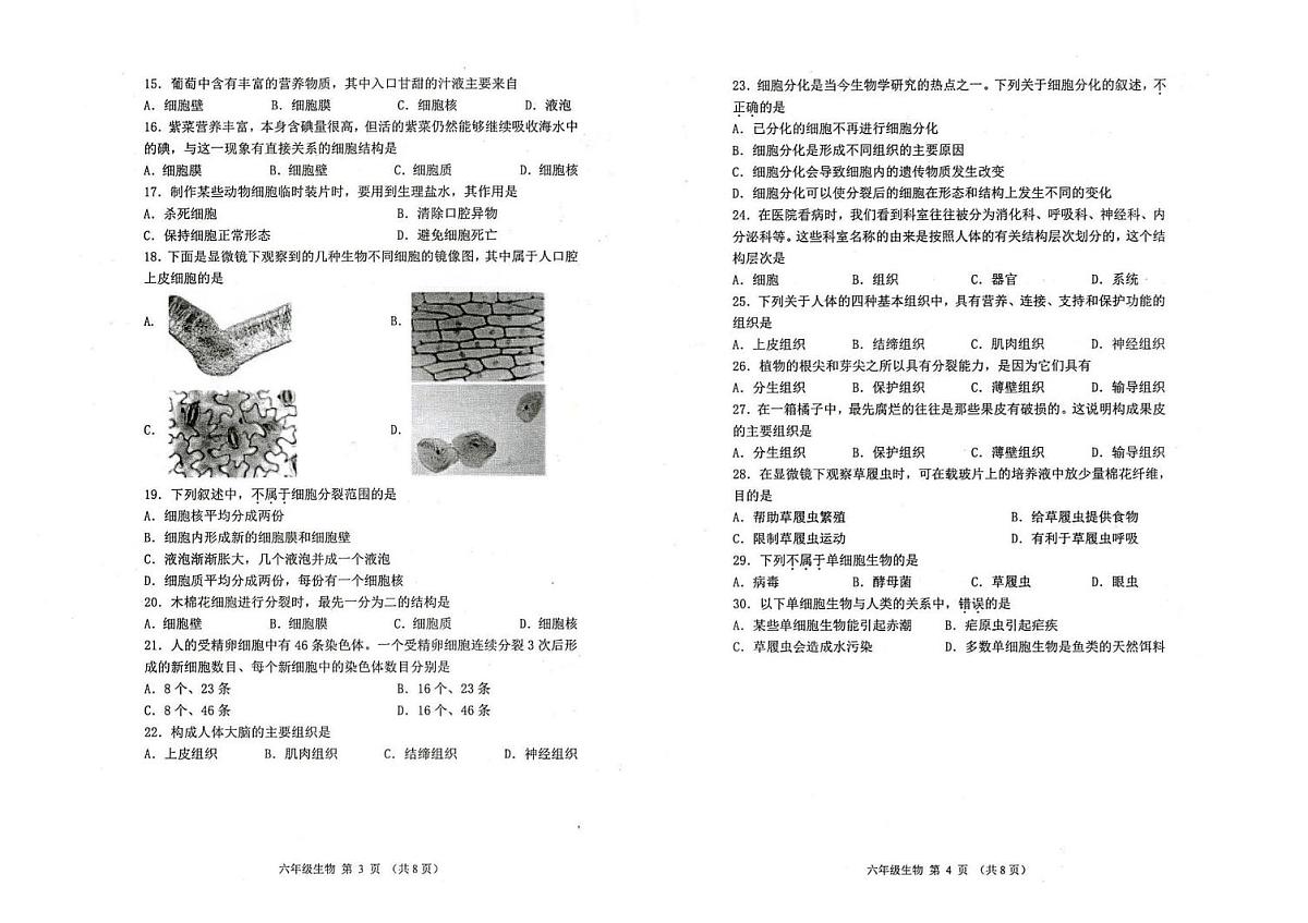 广东省肇庆市第一中学2024-2025学年七年级上学期期末生物试题第2页