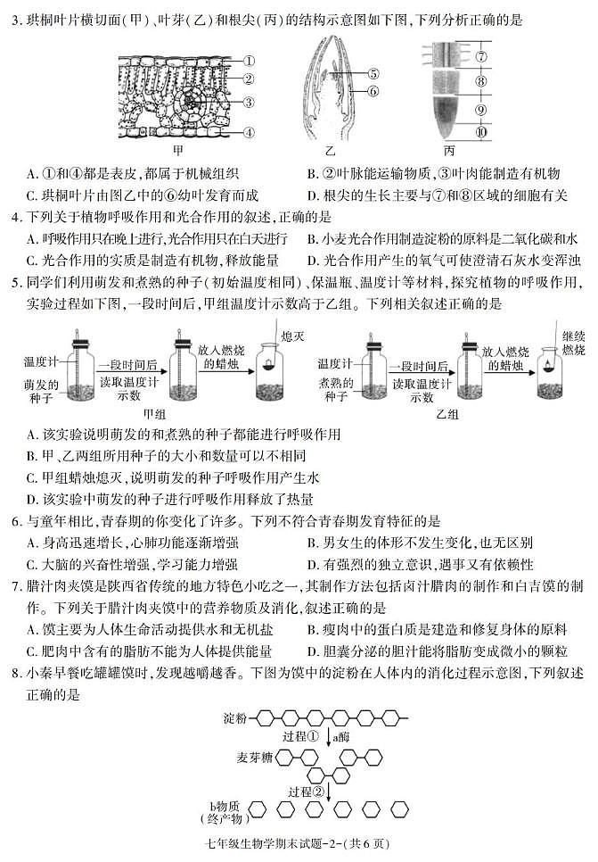 陕西省西安市临潼区2024-2025学年七年级下学期期末考试生物试卷第2页