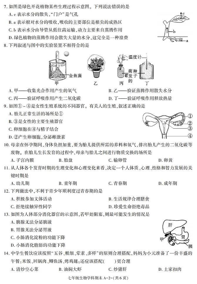 陕西省咸阳市泾阳县2024-2025学年七年级下学期期末考试生物试卷第2页