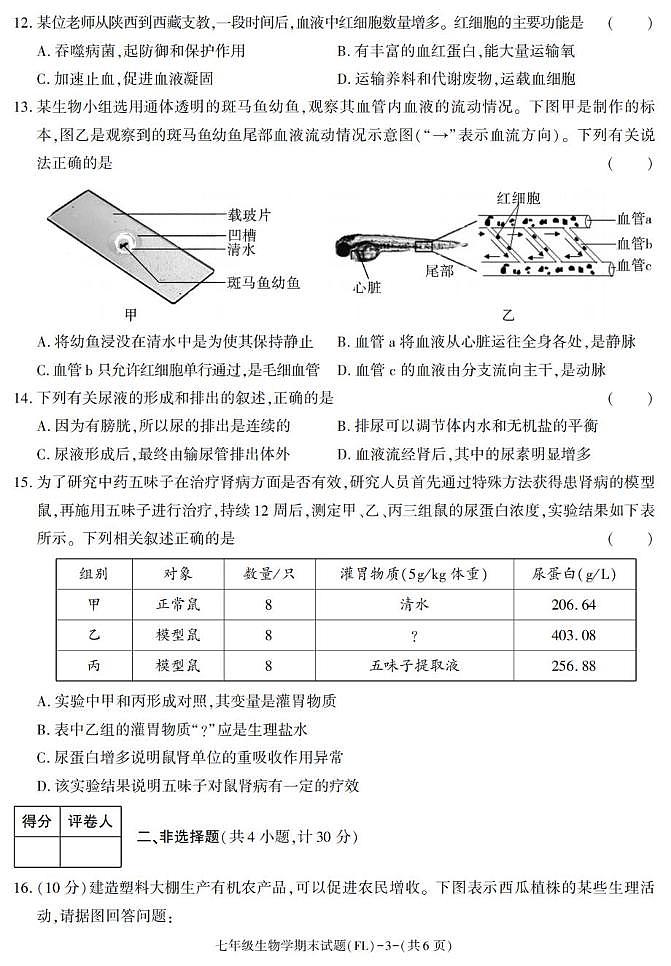 陕西省汉中市佛坪县2024-2025学年七年级下学期期末考试生物试卷第3页