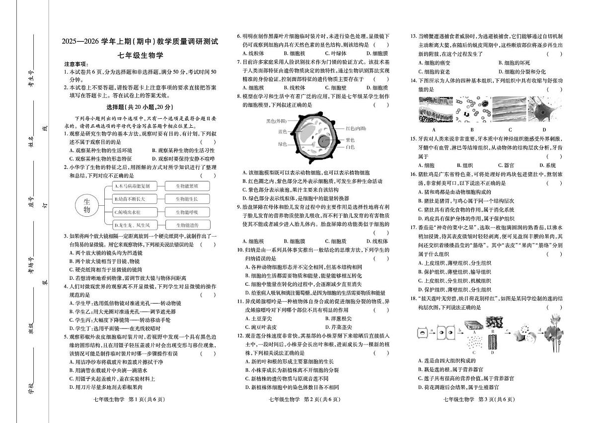 河南省鹤壁市联考2025-2026学年七年级上学期期中考试生物试卷第1页