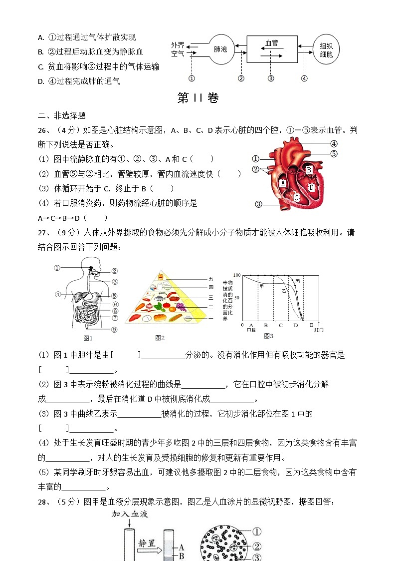 福建省泉州南安市某校七年级下学期期中模拟生物试题-A4第3页